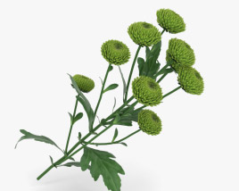 Santini Flower 3D model