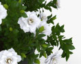 Gardenia 3d model