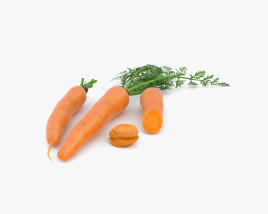 Морква 3D модель