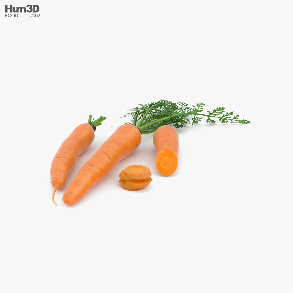 Морква 3D модель