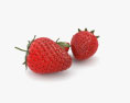 Strawberry 3D-Modell
