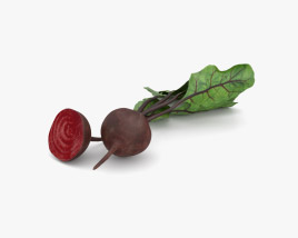 Beetroot 3D model