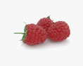 Raspberry 3d model