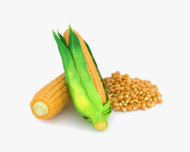 玉米 3D模型