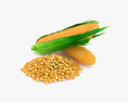 Corn 3d model