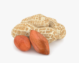 Erdnüsse 3D-Modell