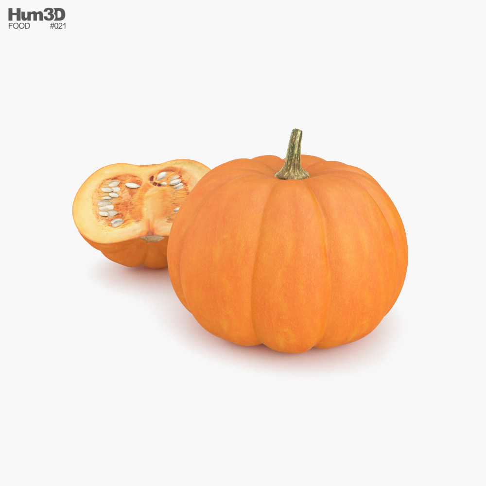 Pumpkin 3D model