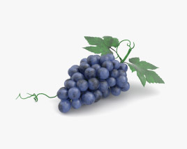 Виноград 3D модель
