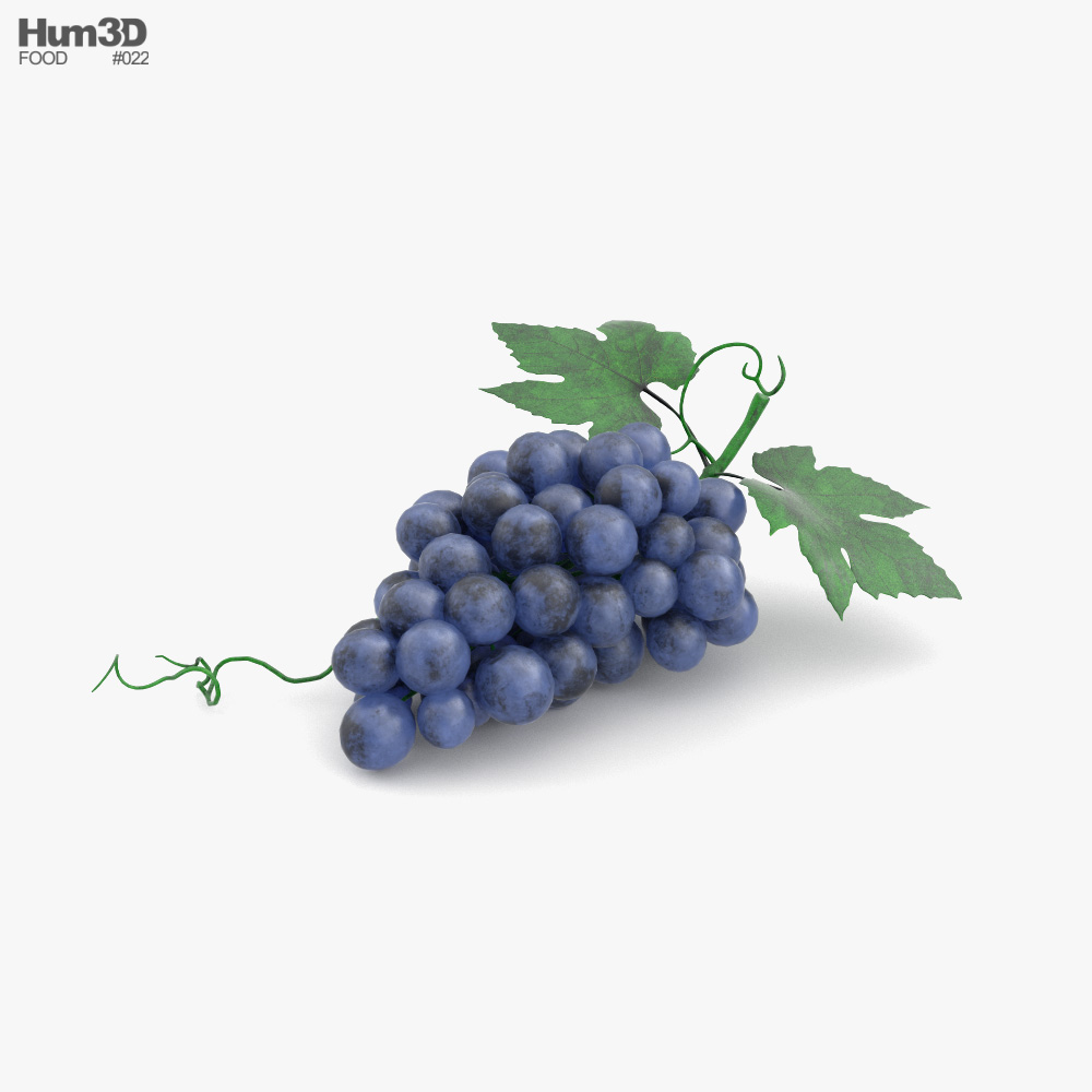 Grape 3D model