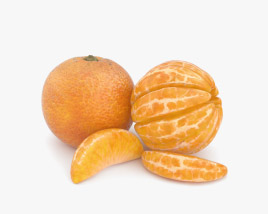 mandarin 3d model
