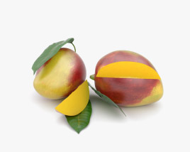 Mango Modelo 3D