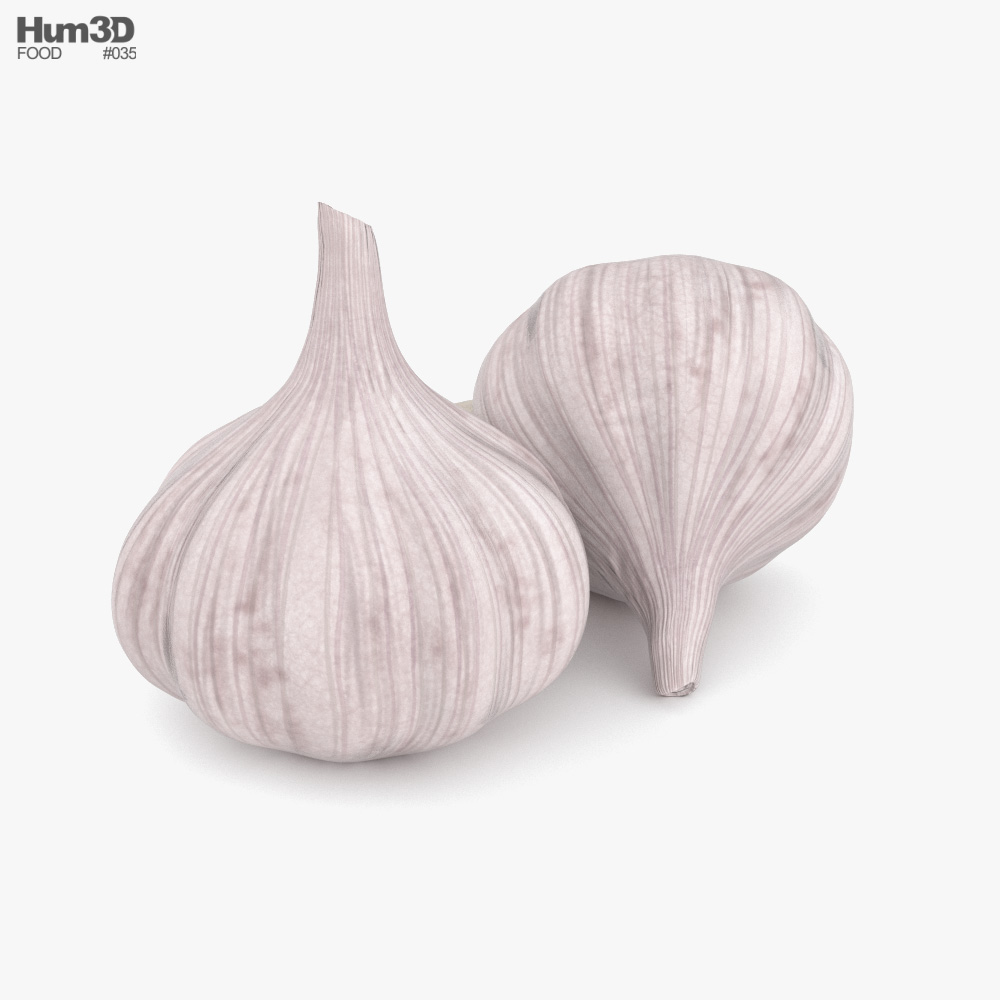 Garlic 3d model