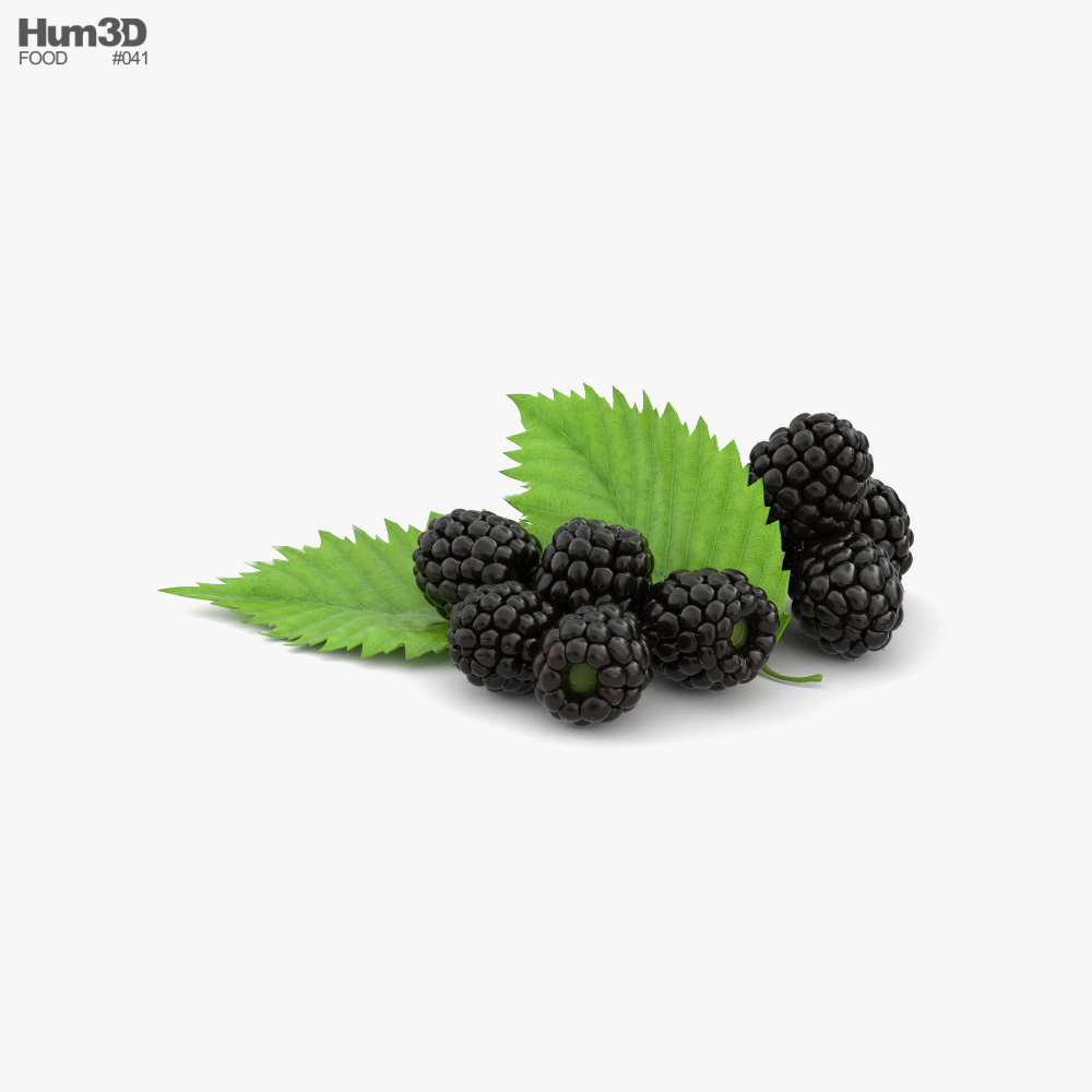 黑莓 3D模型