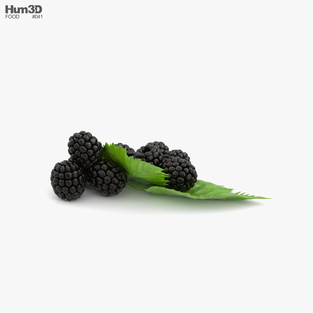 Blackberry 3d model