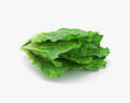 Lettuce 3d model