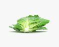 Lettuce 3d model