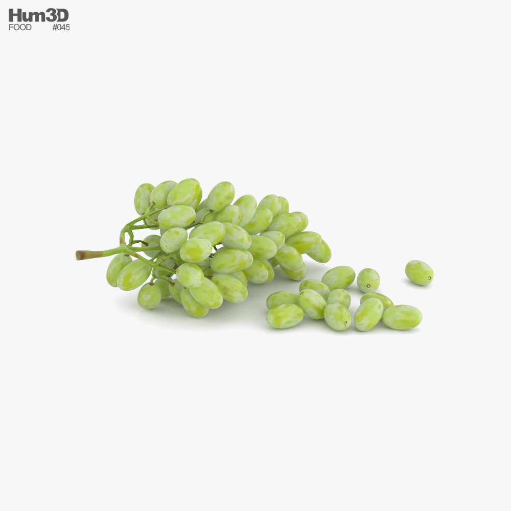 Green Grapes 3D model