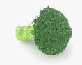Broccoli Modello 3D
