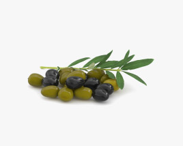 Olive Modèle 3D
