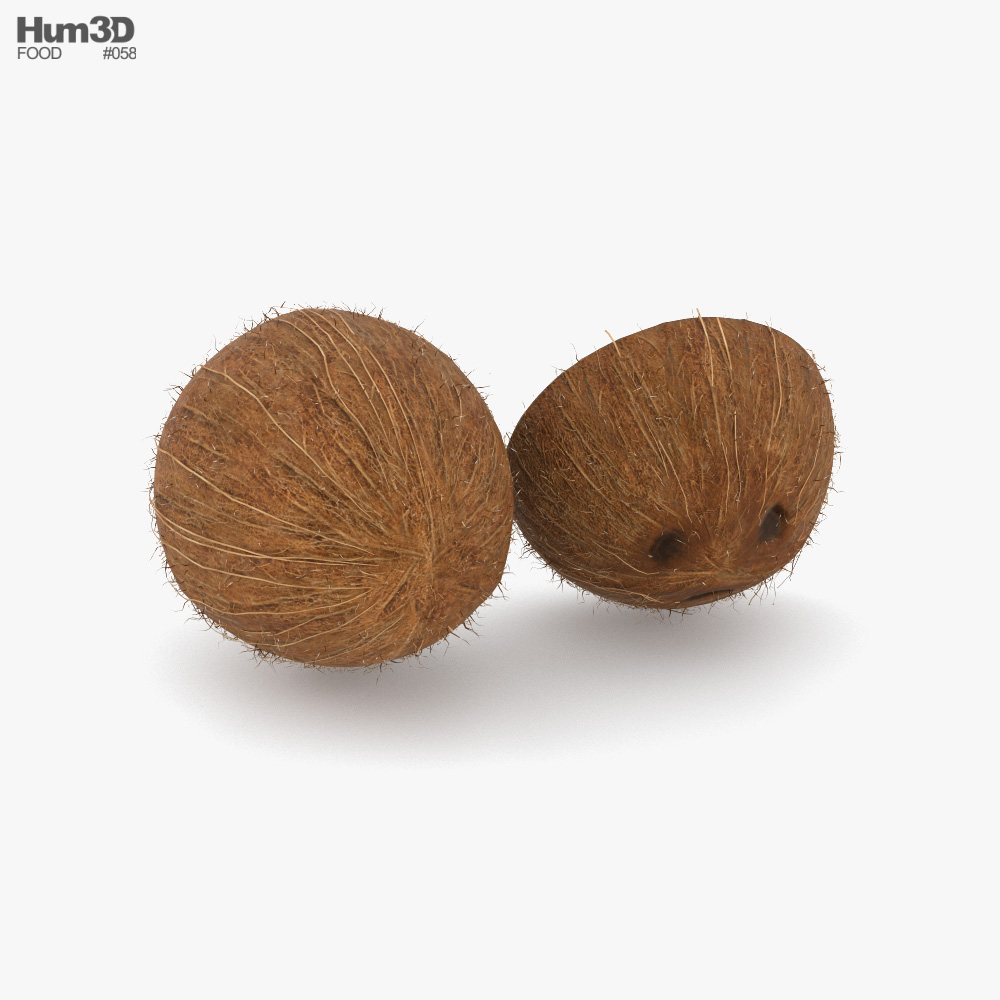 Noce di cocco Modello 3D