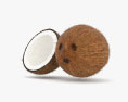 Coconut 3d model