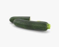 Zucchini 3d model