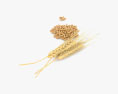 Wheat 3d model