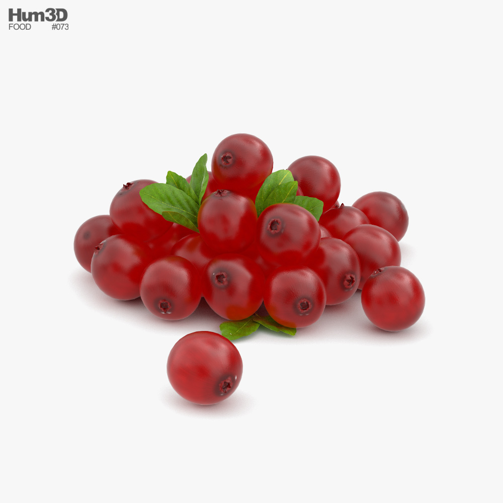 Cranberry 3D model