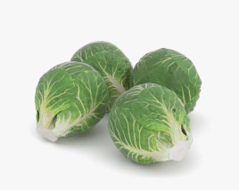 Brussels Sprout 3D model