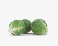 Brussels Sprout 3d model