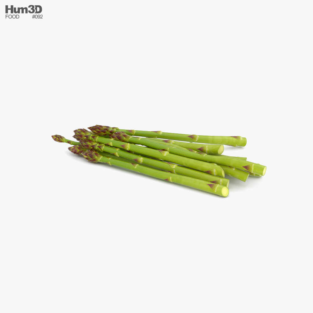 Asparagus 3d model