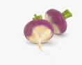 Turnip 3d model