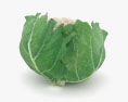 Cauliflower 3d model