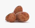 Sweet Potato 3d model