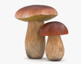Porcini 3d model