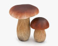 Porcini 3d model