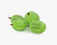 Gooseberry 3d model