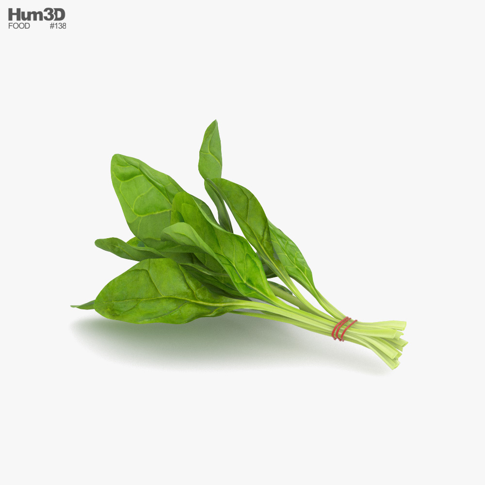 Spinach 3d model