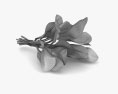 Spinach 3d model