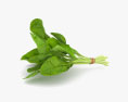 Spinach 3d model