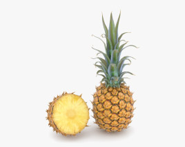 Ananas 3D-Modell