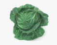Cabbage 3d model