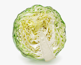 cabbage 3d model