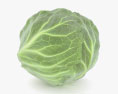 Half a Cabbage 3d model