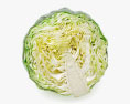 Half a Cabbage 3d model