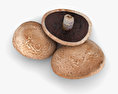 Portobello Mushrooms 3d model