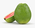 Guava 3d model
