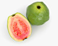 Guava 3d model