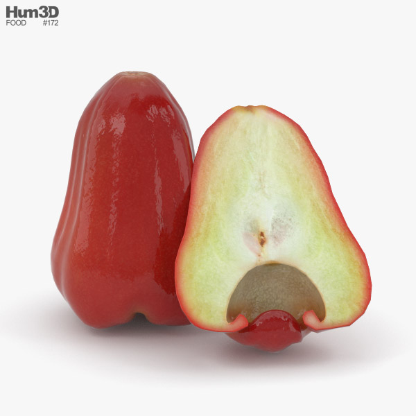 Rose Apple 3D model