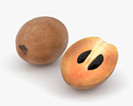 Sapodilla 3D model
